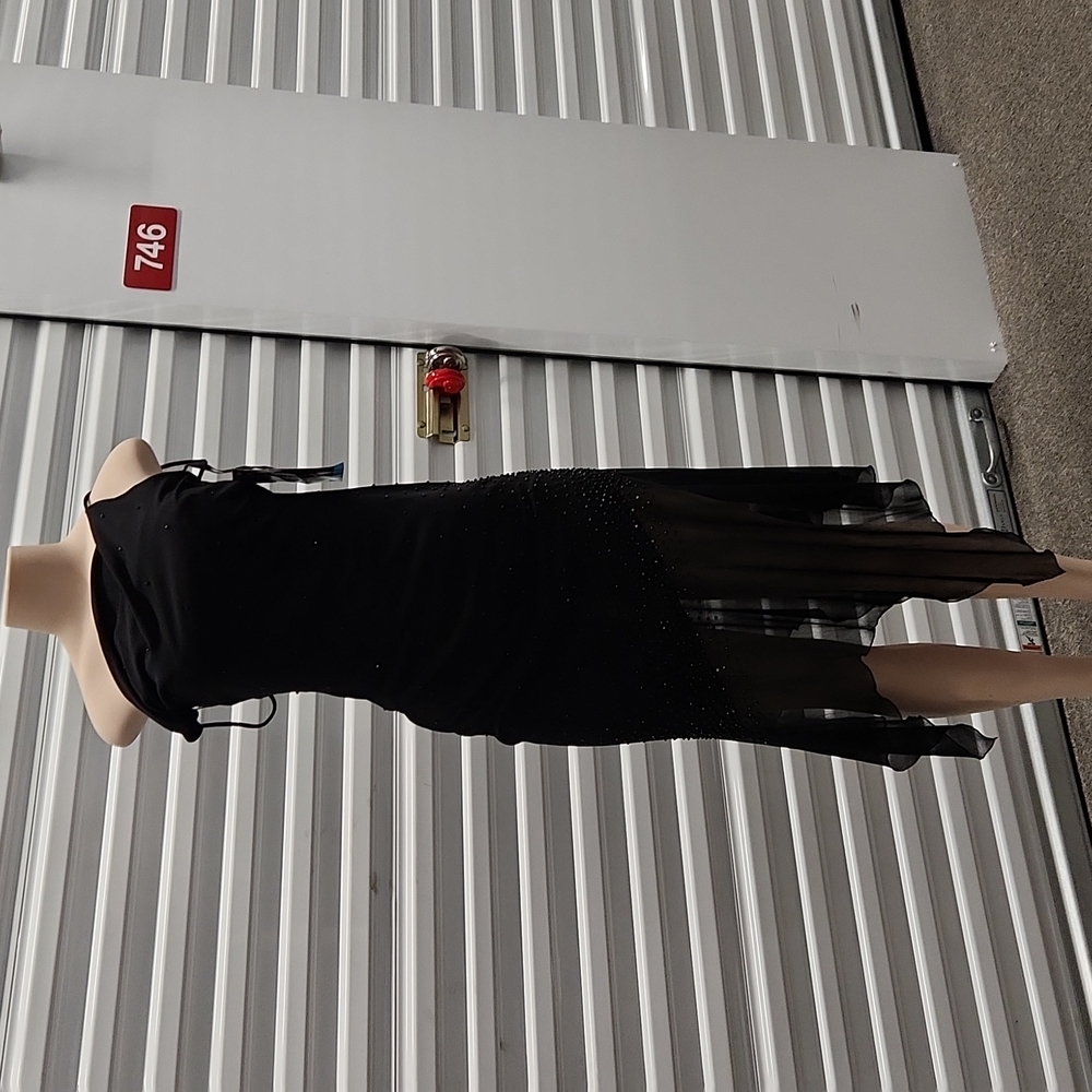 Evening gown  Lovely for the black tie event!